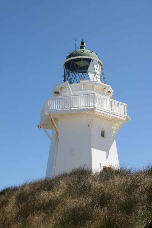 Nieuw-Zeeland 2011 - 1779